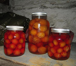 Plommer på "Norgesglass"