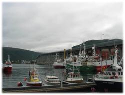 Hva er Nordens Paris uten Tromsøbrua?