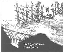 Fangstanlegg i Streitlifeltet