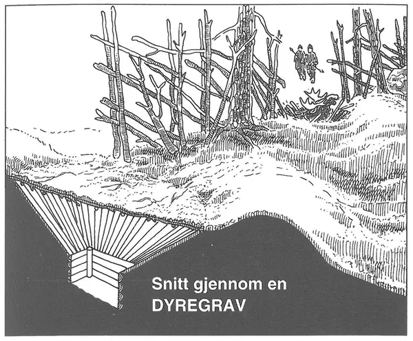 Fangstanlegg i Streitlifeltet