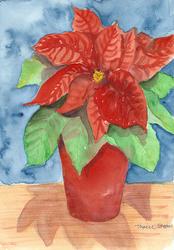 12) Luggeføre - Julestjerne