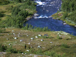 Utsikta mot Seltuftvatnet