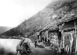 Parti ved Opheimsvandet,  Vos