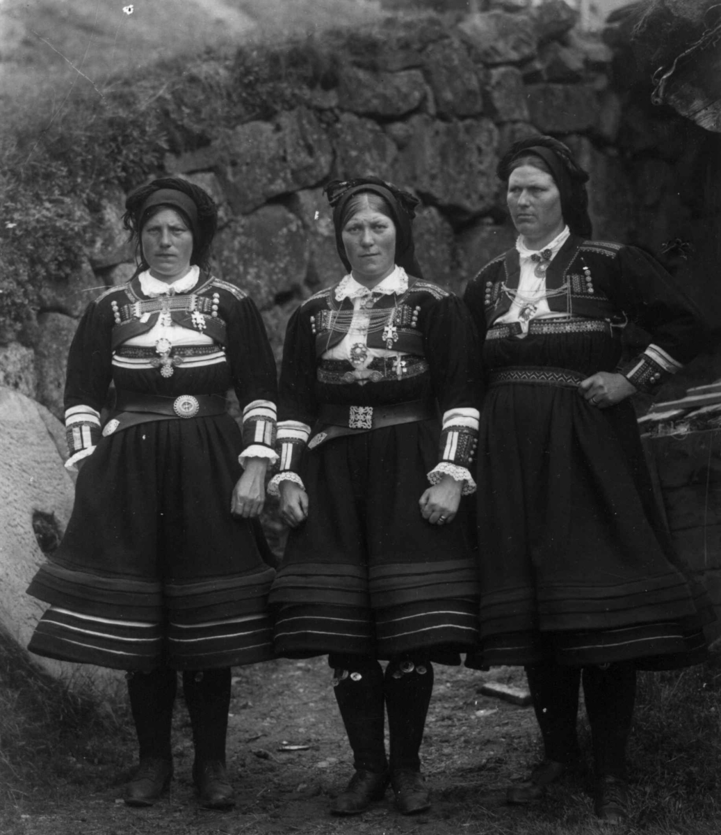 Kvinnedrakt, gruppeportrett, Valle, Setesdal, Aust-Agder, antatt 1924.
Fra "De Schreinerske samlinger" (skal oppgis).