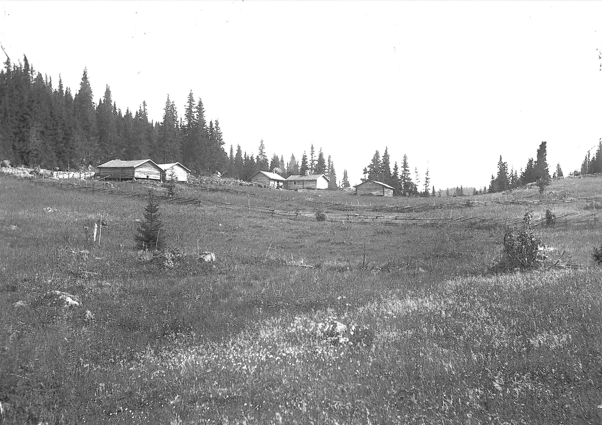 Setervollen med bebyggelse, Holoa seter, Hadeland, Jevnaker, Oppland, 1903.
