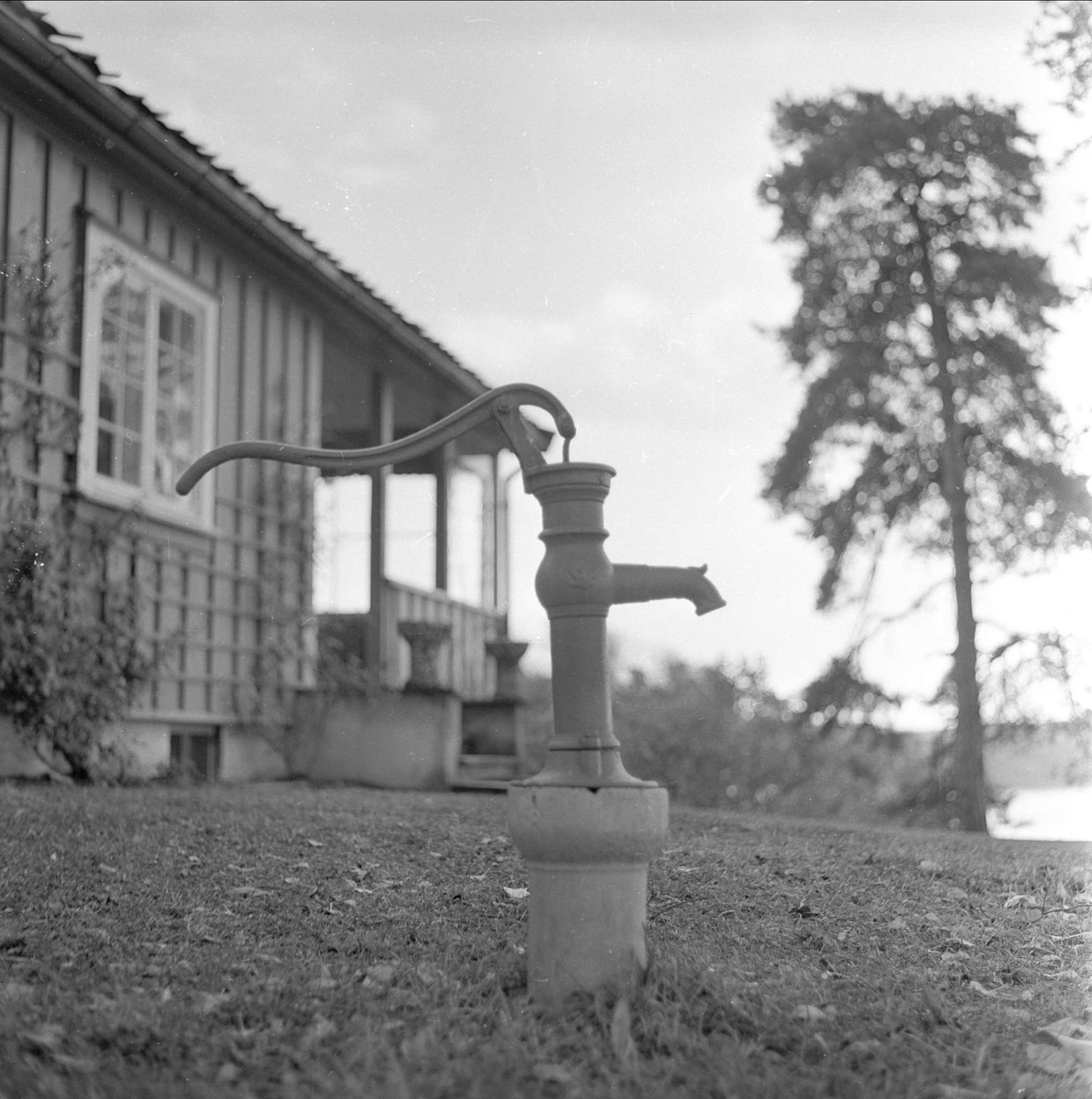 Høvikodden, hus, vannpost, Høvik, Bærum, november 1962.
