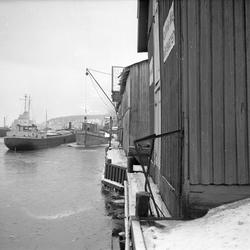 Drammen, 28.02.1953. Havn med båter.