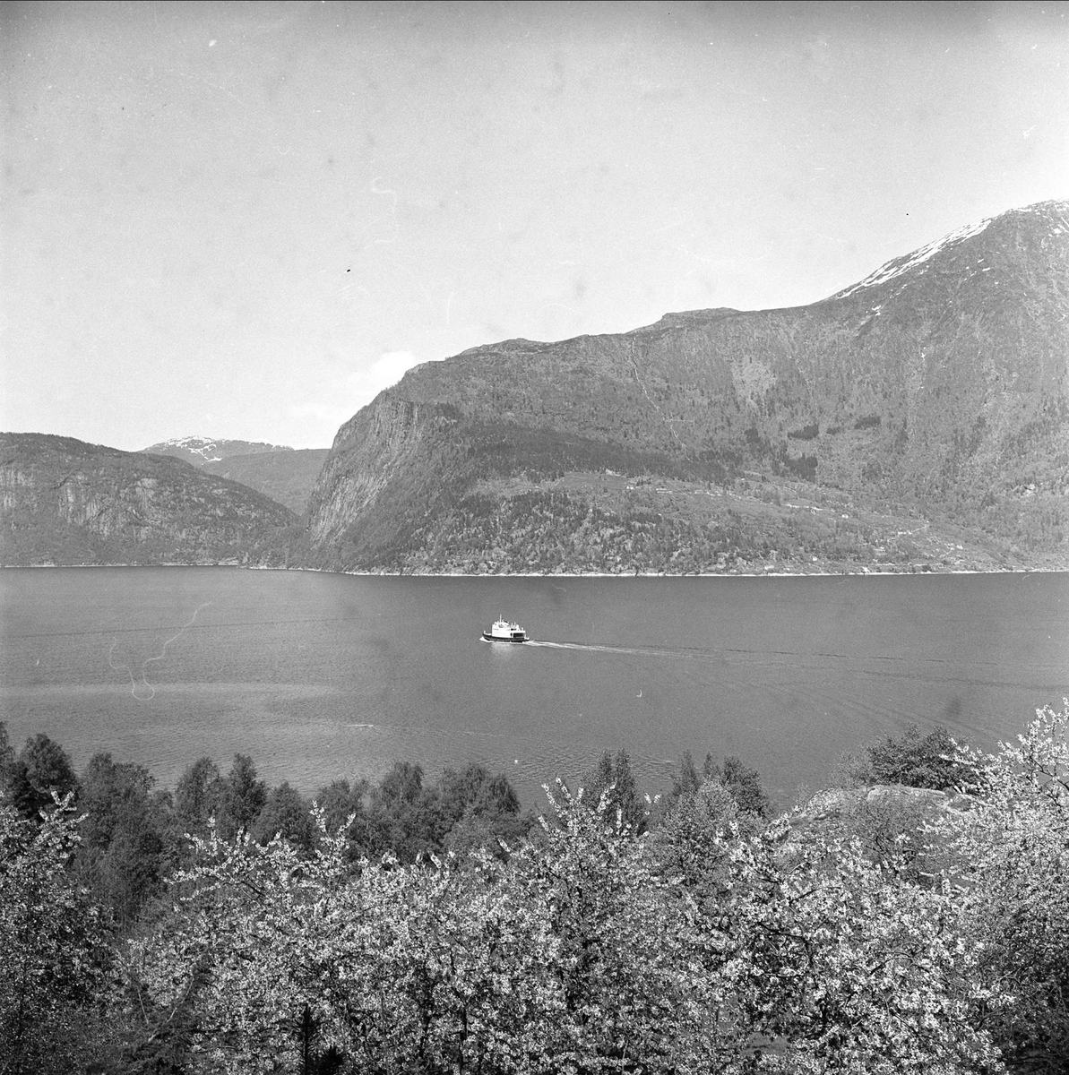 Sørfjorden i Hardanger, Hordaland, mai 1963. Båt på fjord, fjell i bakgrunnen.