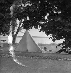 Åsgårdstrand, mai 1950, telt.