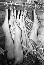 Bolkesjø hotell, Notodden desember 1964. Griseskrotter.