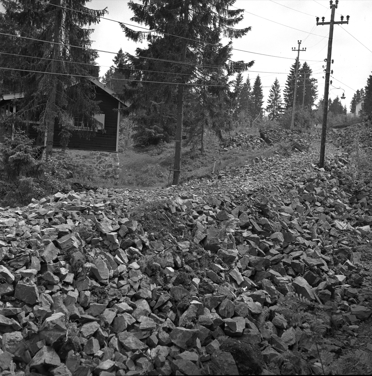 Ammerud, Oslo, juni 1954. Dårlig vei i skogen. Hytte.