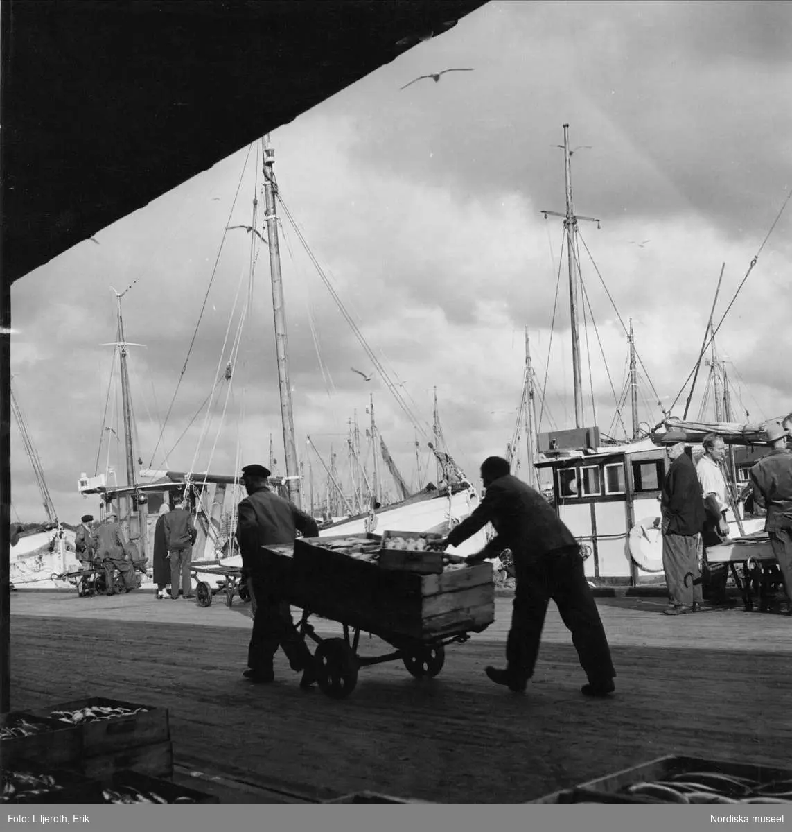 Göteborgs fiskhamn. Två män rullar lådor på en kärra, i bakgrunden fiskebåtar vid kaj.