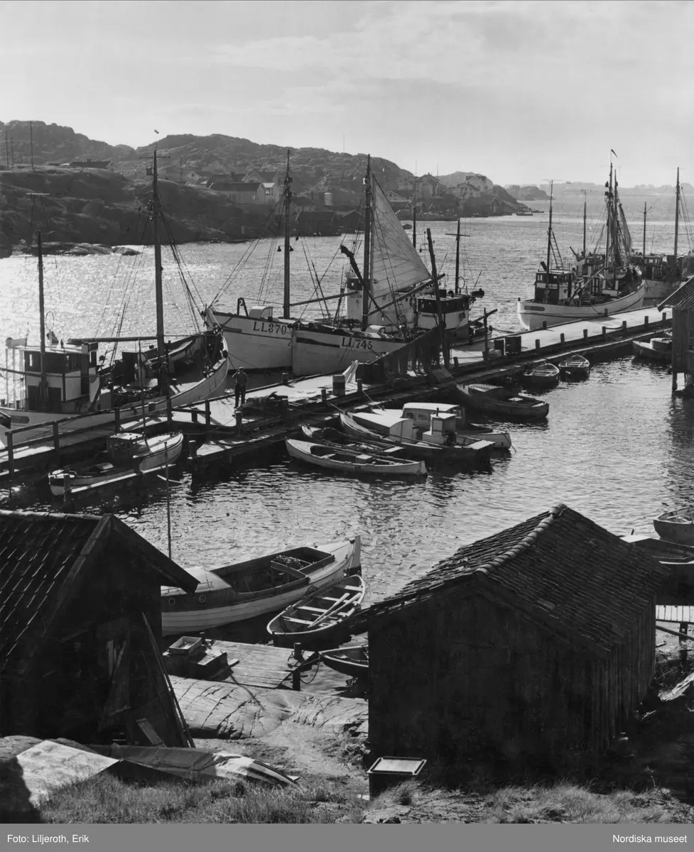 Moderna bryggor och fiskeb&aring;tar mot en f&ouml;rgrund av traditionellt utformade sj&ouml;bodar