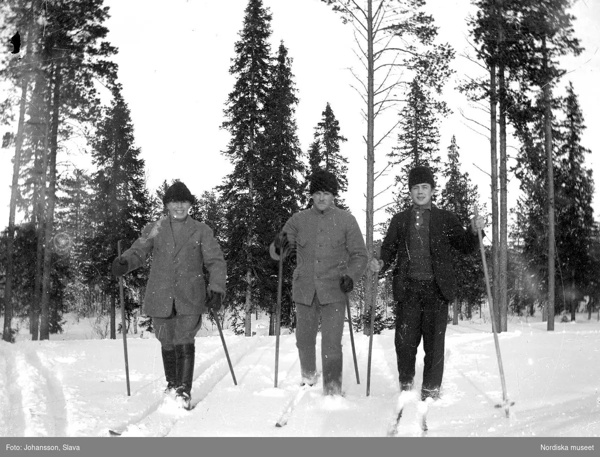 Tre män på skidor i skog.