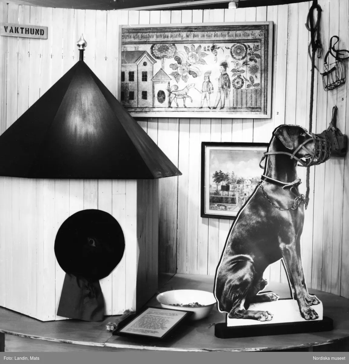 Utställningen "Hunden" på Nordiska museet 1989.Svartvit dokumentation av miljöer och montrar. Sagans hund, vakthunden mm