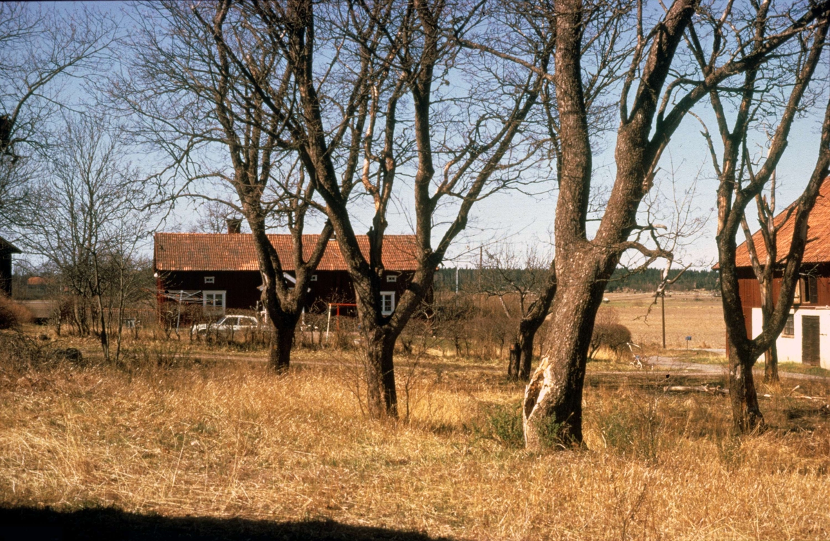 Gårdsmiljö, Lejsta, Rasbo socken, Uppland 1975