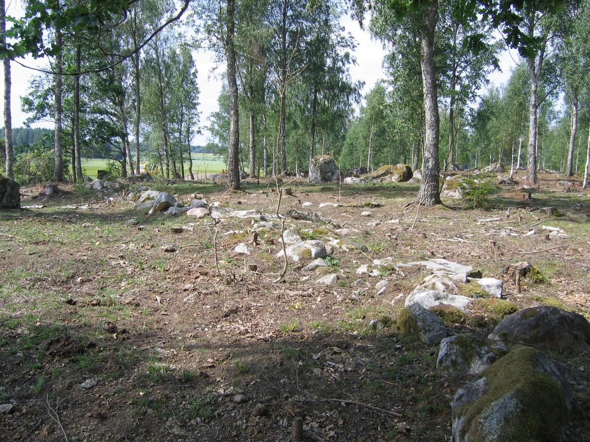 Arkeologisk undersökning, Uppeby, Hacksta socken, Uppland 2006