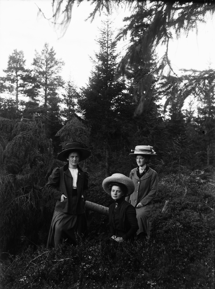 Nora Ärnström, "fr. Andersson" och "fr. S-n", sannolikt Berge, Timrå socken, Medelpad 1910