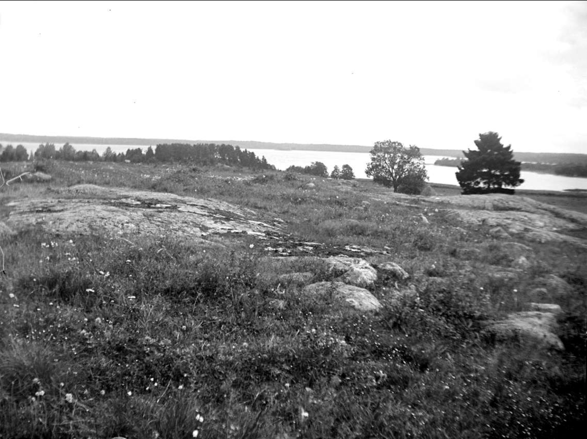 Landskapsvy med sjön Limmaren, Frötuna socken, Uppland 1927