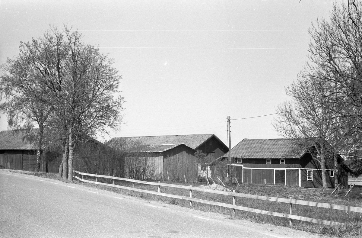 Vy över trädgården, Flat 1:1, Flat, Lena socken, Uppland 1977