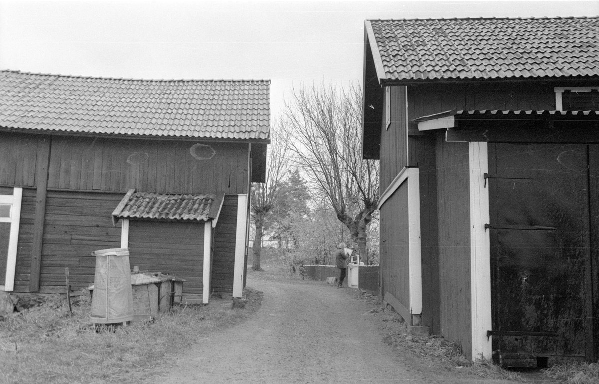 Ladugård och bostadshus/magasin, Husby, Gamla Uppsala 79:14, Gamla Uppsala socken, Uppland 1978