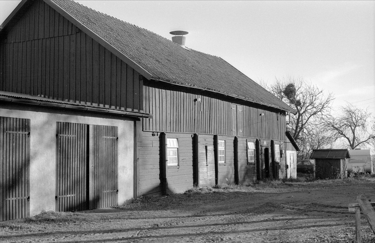 Ladugård, Svista, Bälinge socken, Uppland 1978