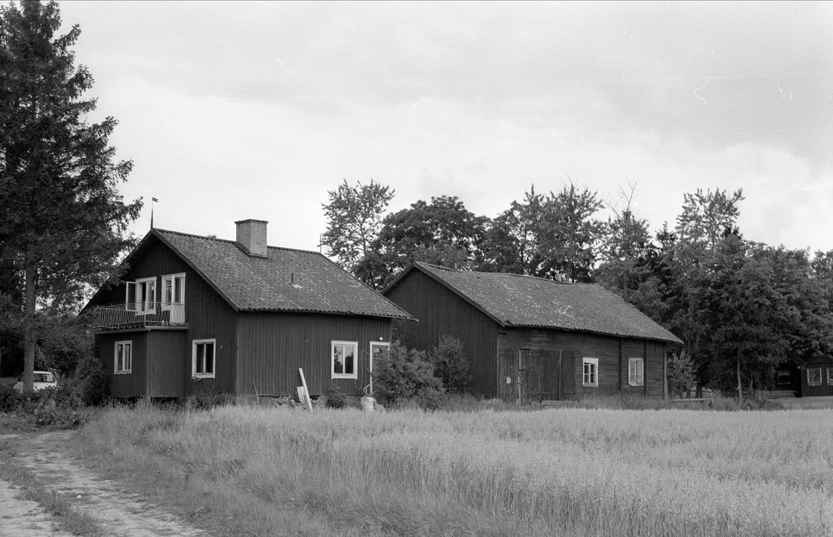 Boningshus och uthus, Funbo Krisslinge 6:1, Krisslinge, Funbo socken, Uppland 1982 