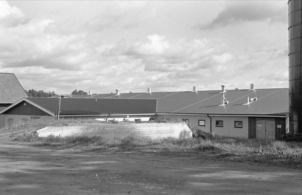 Ladugård, Väsby gård, Stora Väsby, Almunge socken, Uppland 1987