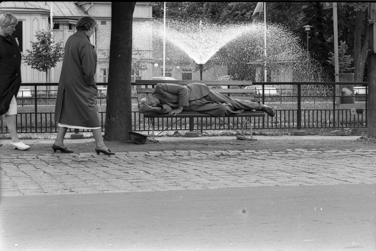 Svandammen, Uppsala juli 1963