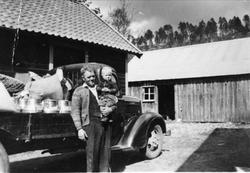 Melketransport pause på Bue, Øyslebø.