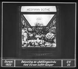 Blomsterbutikk, opplyst vindusutstilling, 1922