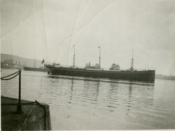 Eksteriør, lastebåten M/S America, B/N 389 under prøvetur i 