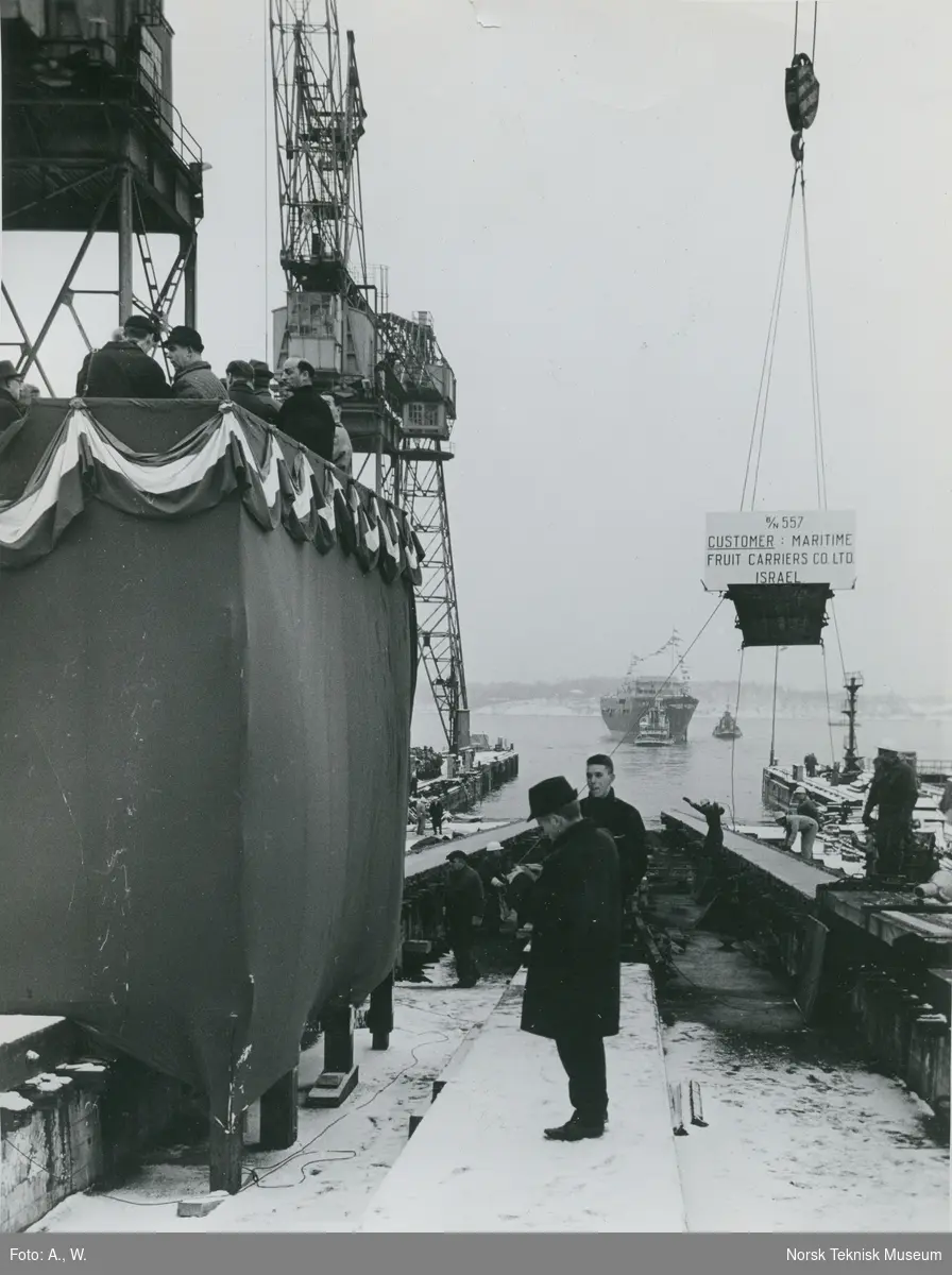 Kjølstrekking for kjøleskipet M/S Mangocore, B/N 557 på Akers Mek. Verksted 1. februar 1964. Skipet ble levert 11. januar 1965 til Maritime Fruit Carriers Co. Haifa, Israel.