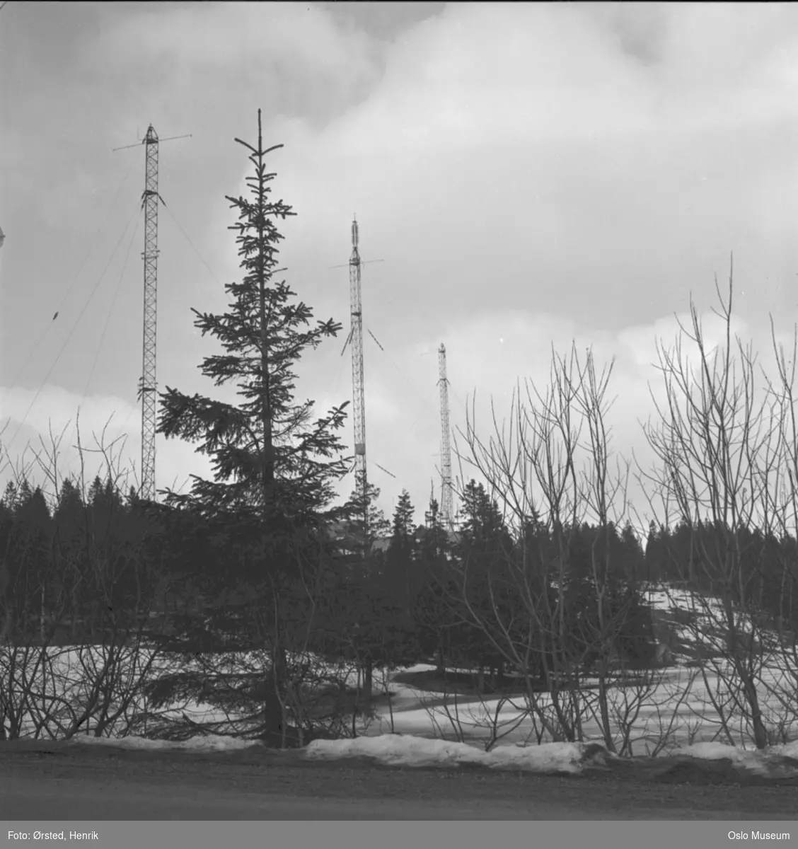 Tryvannsmastene, radiomaster, skog