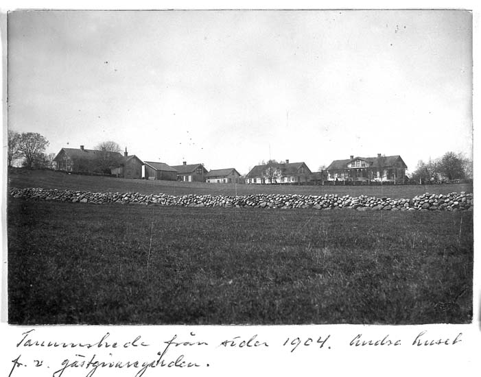 Text på kortet: "Tanumshede från söder 1904. Andra huset fr.v. gästgivaregården".