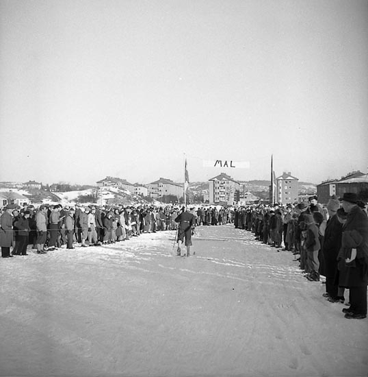 Enligt notering: "D.M. Skidor stafett Jan 1951".