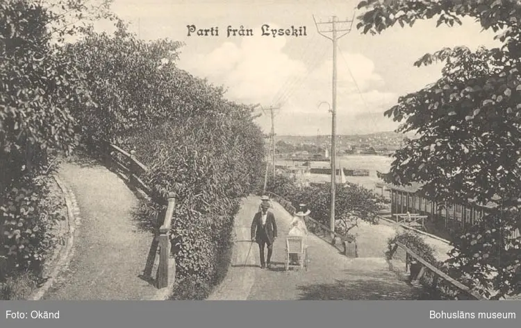 Tryckt text på kortet: "Parti från Lysekil".