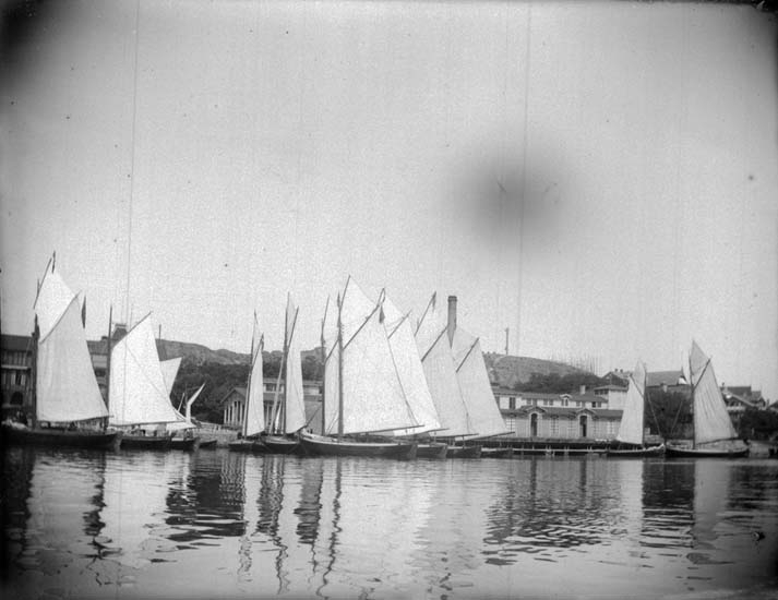 Enligt text som medföljde bilden: "Lysekil. Badgästbåtarne från sjön 1899."