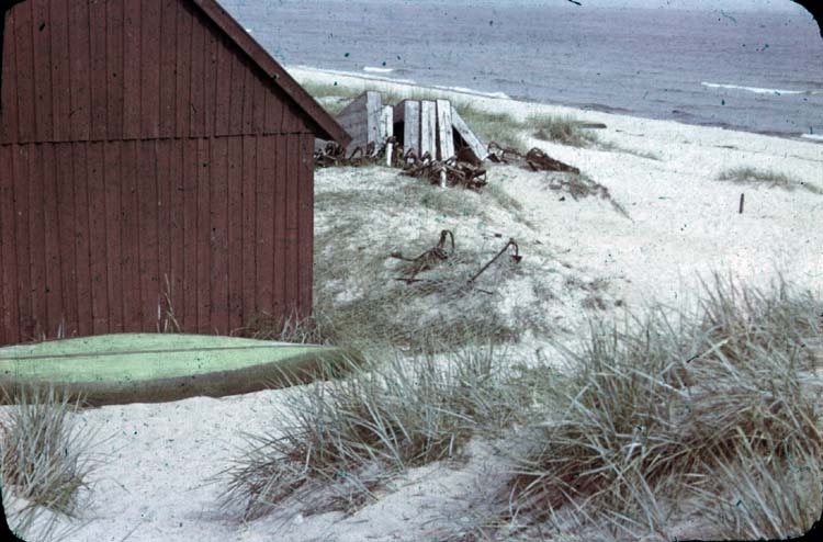 Strandbild med rödfärgad sjöbod och en grön kanot liggande upp och ner vid husets gavel.