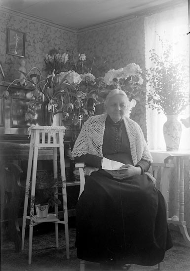 Enligt fotografens journal nr 5 1923-1929: "Olsson, Fru Västergård Här".