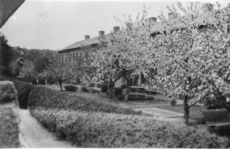 Radhuslängan Nybygget i Jonsered uppförd på 1840-talet. Foto från 1900-talets början.
"Äppleträden blommar Littra E. Fritiof."