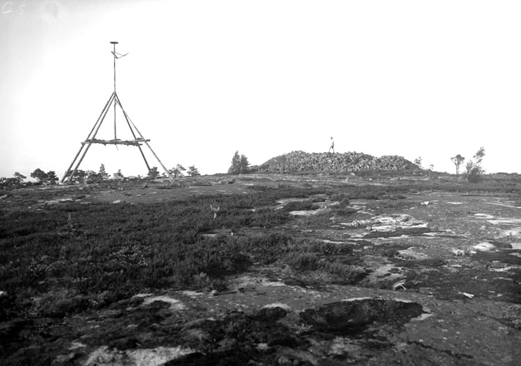 Juli 1924. Björnerödspiggen.