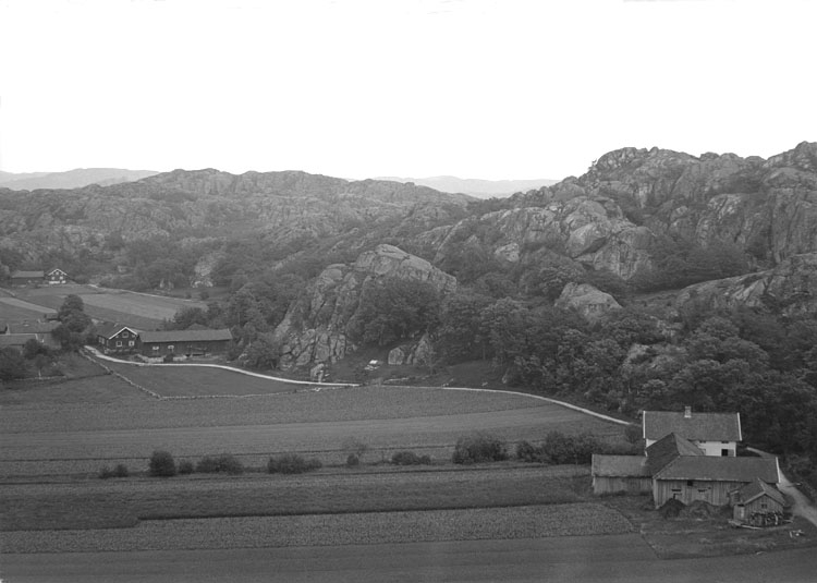 Juli 1924. Panorama över Toröd ( II)