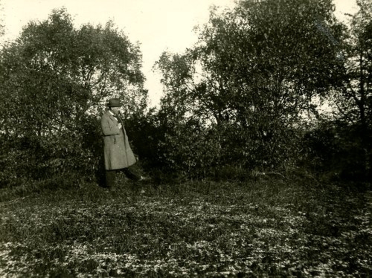 Hasslöv. RAÄ 21. Hasslöv 13. Gullhögen. RAÄ 21. Foto Victor Ewald, 1926.