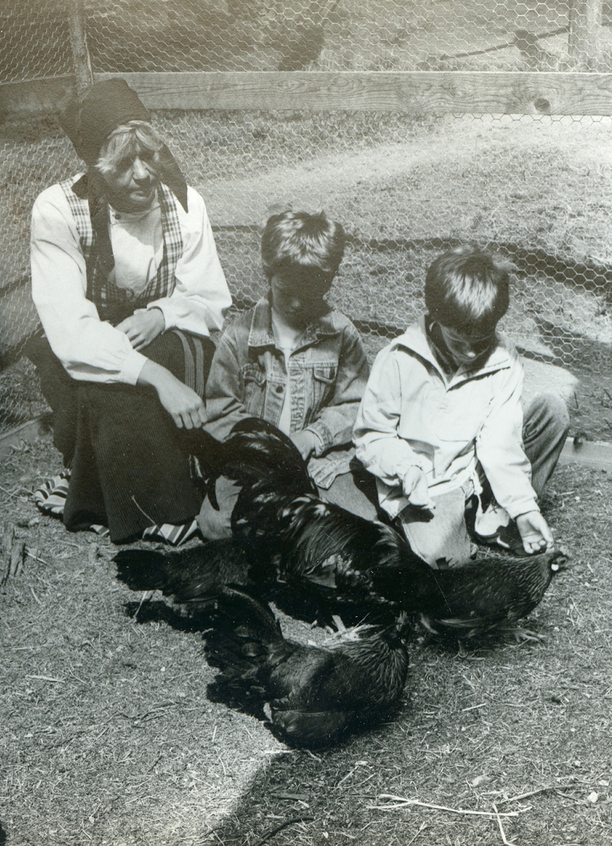 Elisabeth Rysén och två förskolebarn som deltar i vårens hönsprogram på Hallandsgården.