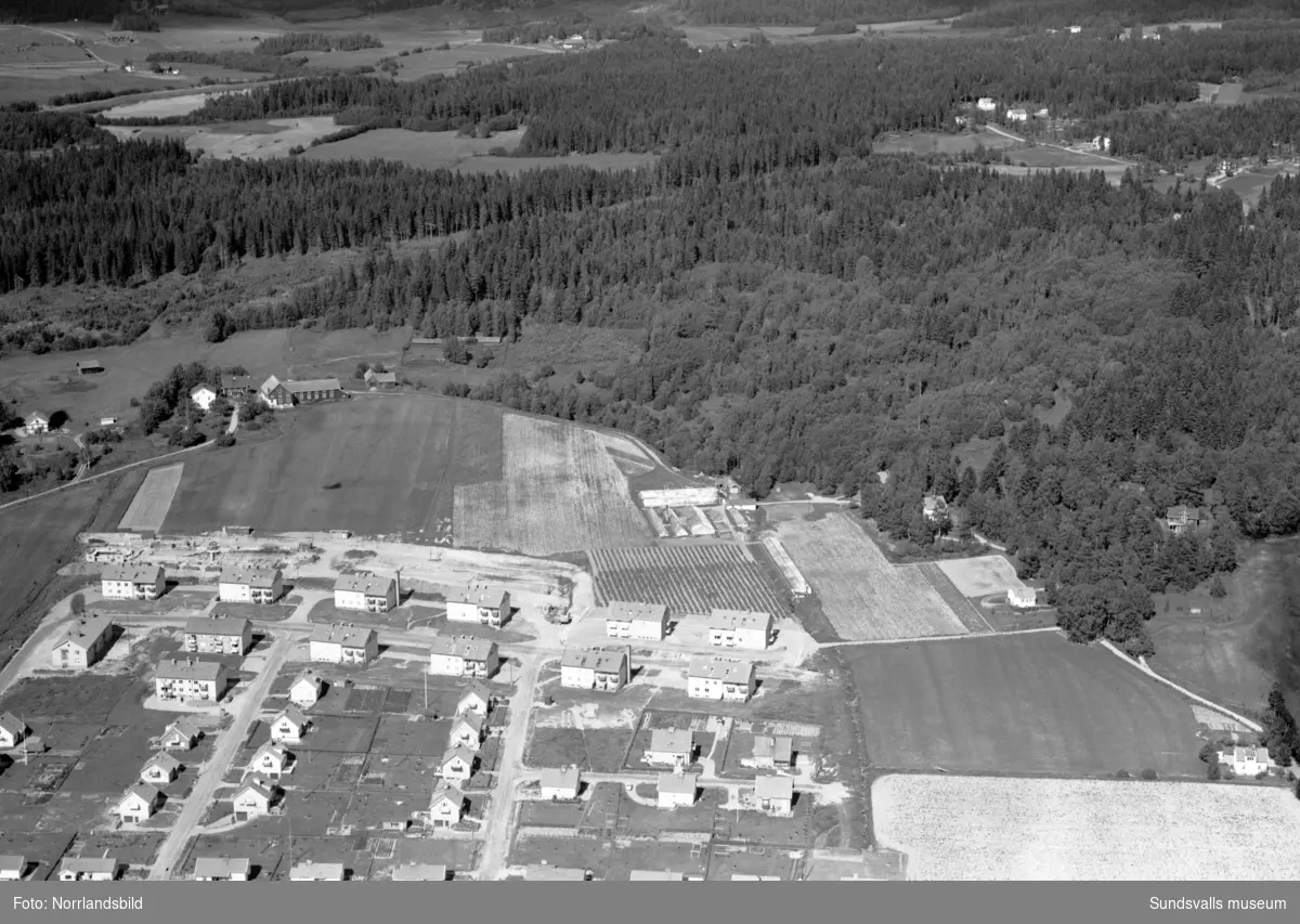 Flygfoto över Högom, Granlo med ny och gammal bebyggelse vid Mjölnervägen, Runstensvägen och Vikingavägen.