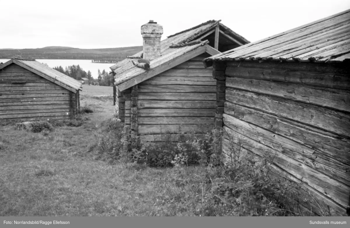 Gammelgårdar från 1700-talet i Myckelgensjö. Fotograferat för Expressen.