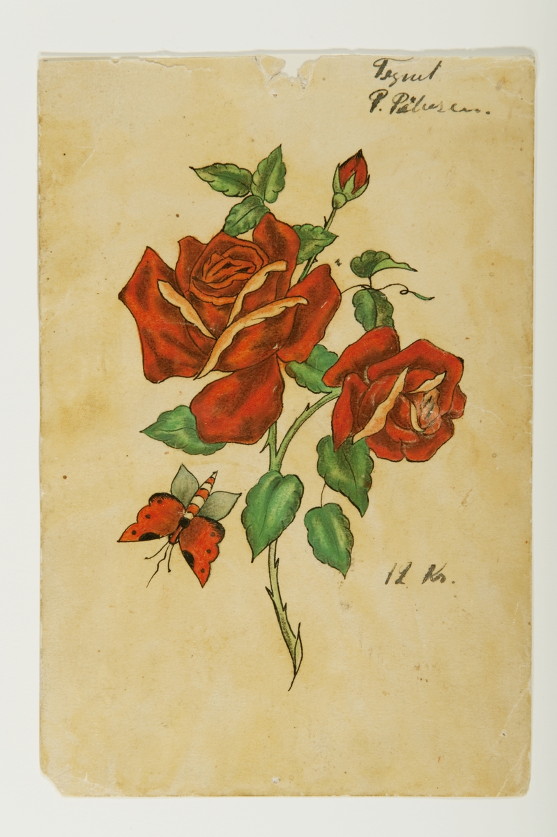 Tatueringsförlaga. Två röda rosor på en stjälk samt en fjäril.

"Rosen är typisk inom tatueringskonsten, men även inom allmoge- och folkkonsten. Det är också ett motiv som kan tolkas på många olika sätt. Rosen kan syfta på kärlek och skönhet, men tolkas också ofta som en symbol för kvinnan. Motivet var förr ett vanligt motiv för män. Idag ett motiv som både män och kvinnor tatuerar sig med. Fjärilen är också ett typiskt motiv inom tatueringskonsten. Motivet kan tolkas som det flyktiga, men kan även tolkas som en symbol som bringar lycka."

Text från appen "Tatuera dig med Sjöhistoriska" som gjordes i samband med utställningen Tro, hopp och kärlek 2012.