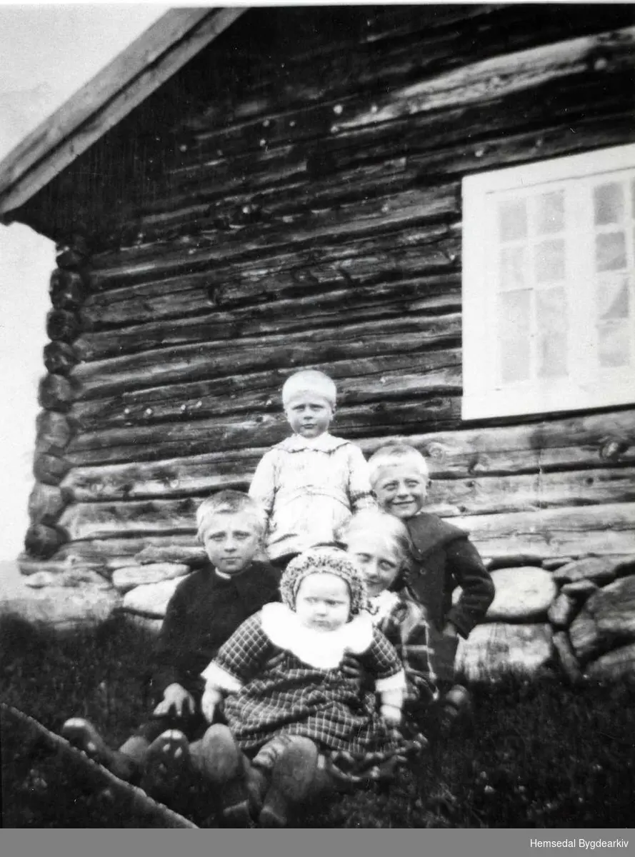 Dokken (Døkken) , stølen til Ålrust 52.1, i Hemsedal
På biletet 5 av borna til Kari og Ola Aalrust.
Svein Aalrust (f. 1912), Sigrid (fødd 1913,  Rasmus(fødd 1915), Bjarne (fødd 1915) og Gunnar (fødd 1921)
