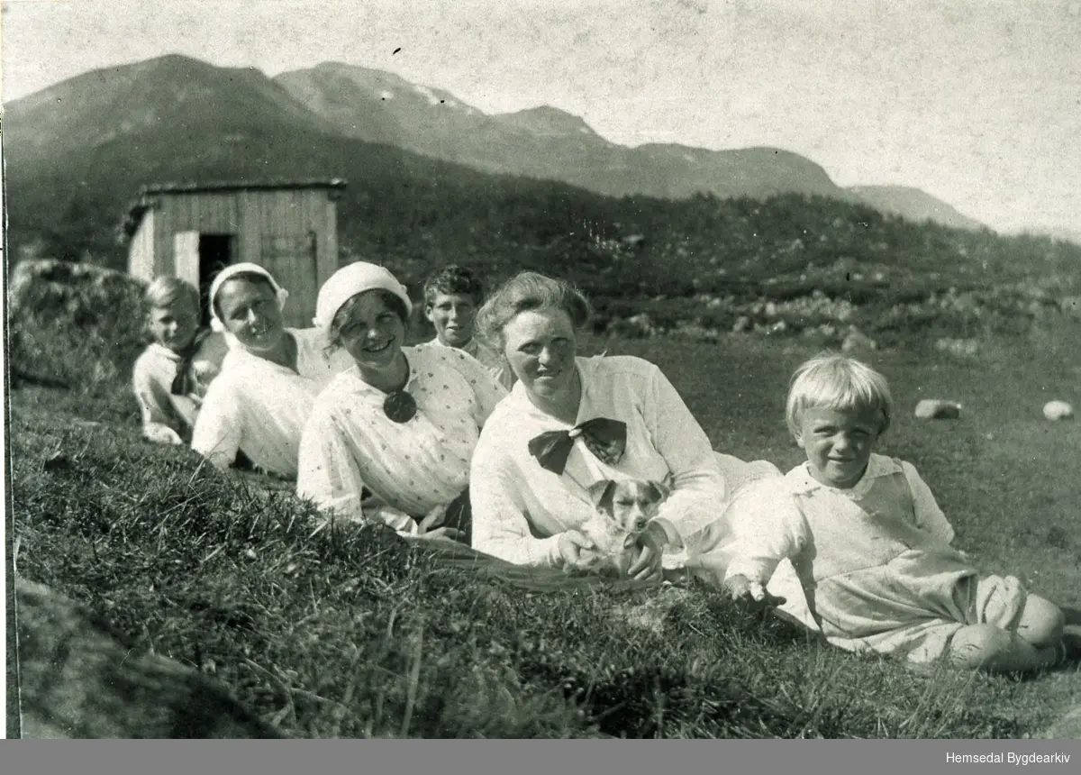 Feten i Grøndalen i Hemsedal i 1917.
Frå venstre: Rolf Dreyer. Rebekka Mehn, Amalie Dreyer, Erik Leinberg, Ragnhild Dreyer og Finn Dreyer Andersen ved utleigehytta "Sommerro".